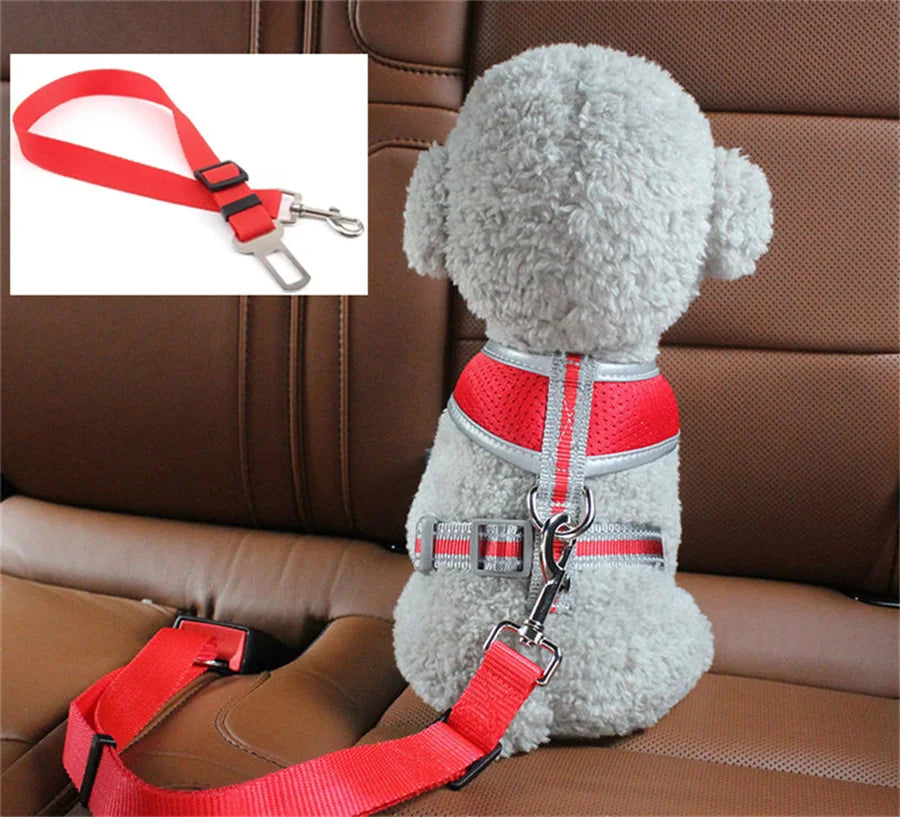 PawsySafe